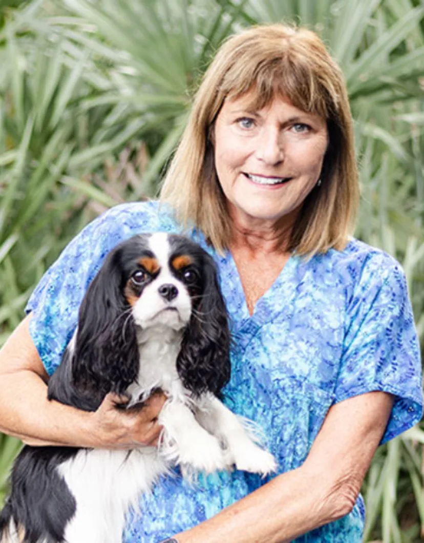 A photo of Dr. Karen Spencer holding a King Charles Cavalier Spaniel against a background of palm trees
